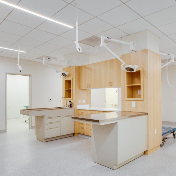 Curo Pet Care Treatment Stations DPT Construction